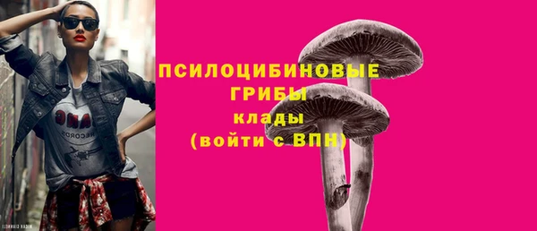 марихуана Каменногорск