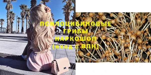марки nbome Карпинск